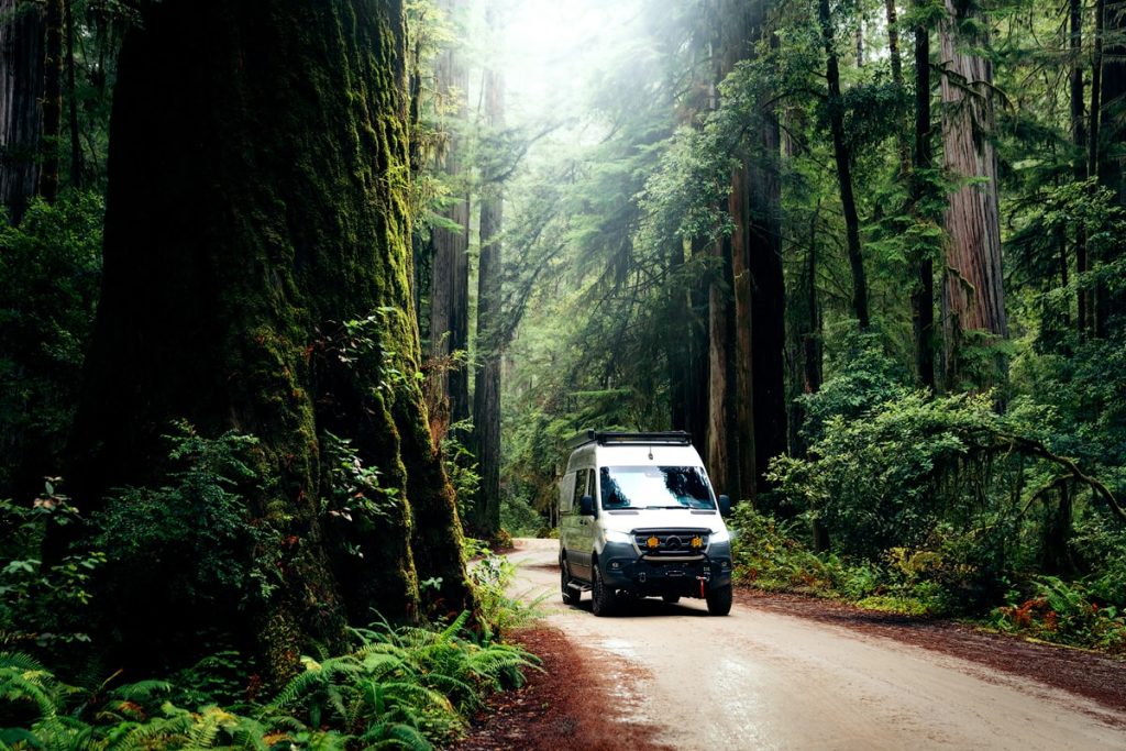 Getting to Redwood National Park