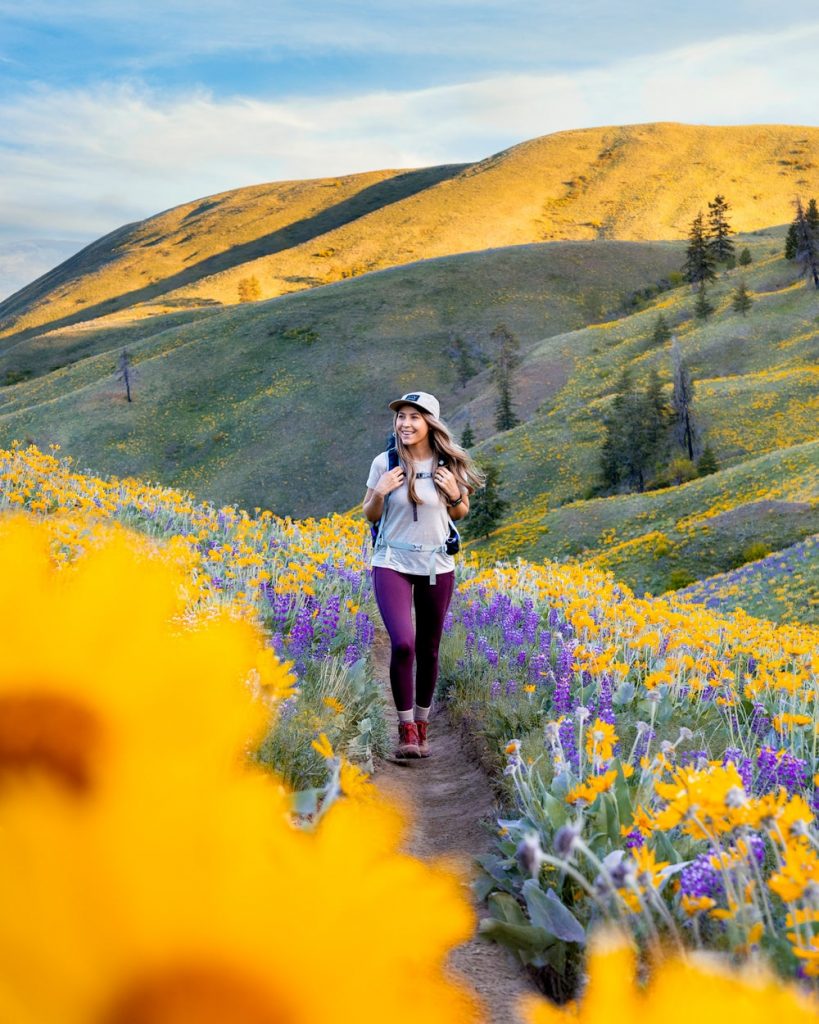 Beginner Hikes in Washington - Sage Hills Wildflower Hike