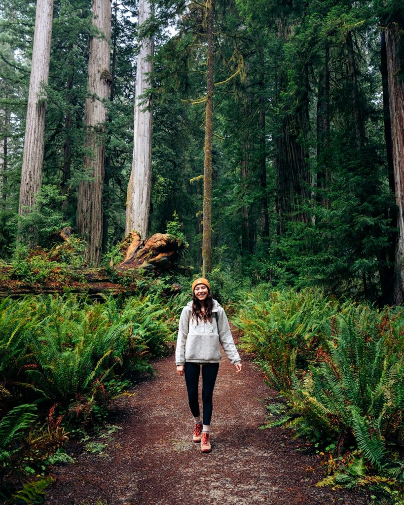 What To Pack to Visit Redwood National Park