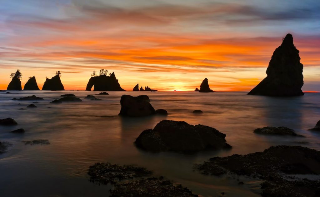 Olympic National Park - Visit Coastal Beaches Shi Shi Beach