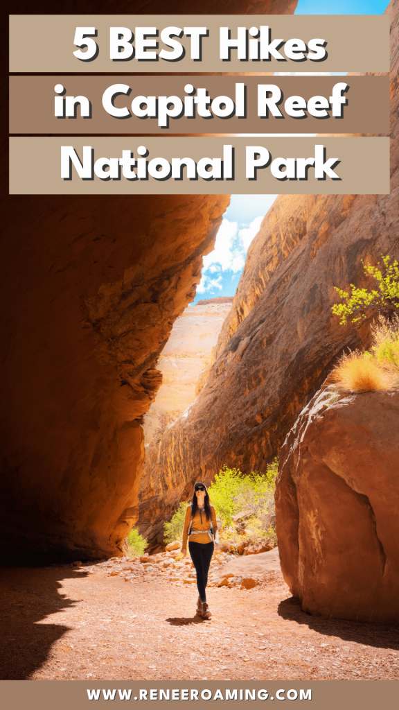 Capitol Reef is a highly underrated national park! I remember the first time I visited and being shocked that I hadn't heard more about this beautiful part of Utah. In my opinion, it's one of the top spring and fall hiking destinations in the USA! To help you with your travel planning, I'm sharing the 5 BEST hikes in Capitol Reef National Park. The majority of these hikes are rated "easy-moderate" and are suitable for most skill levels, including families!