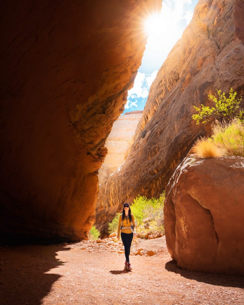 Best Hikes in Capitol Reef National Park - Grand Wash Trail