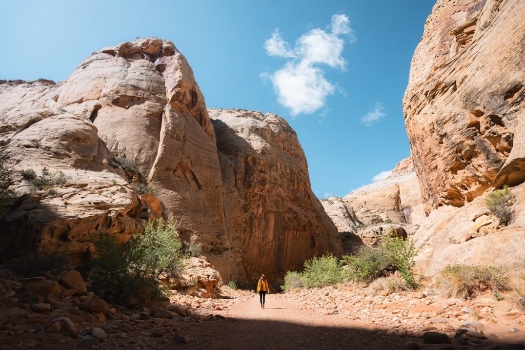 Best Hiking Trails in Capitol Reef National Park - Renee Roaming