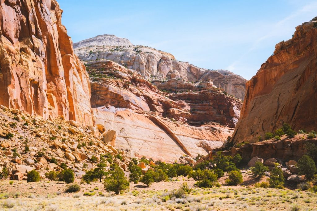 Capitol Reef National Park Hiking Trails