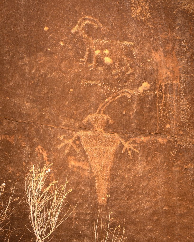 Petroglyphs Capitol Reef Hiking Trail