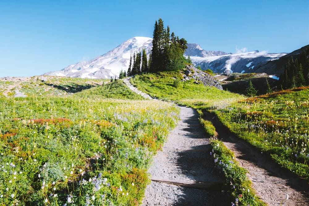 Best hikes in Mount Rainier national park - Mazama Ridge