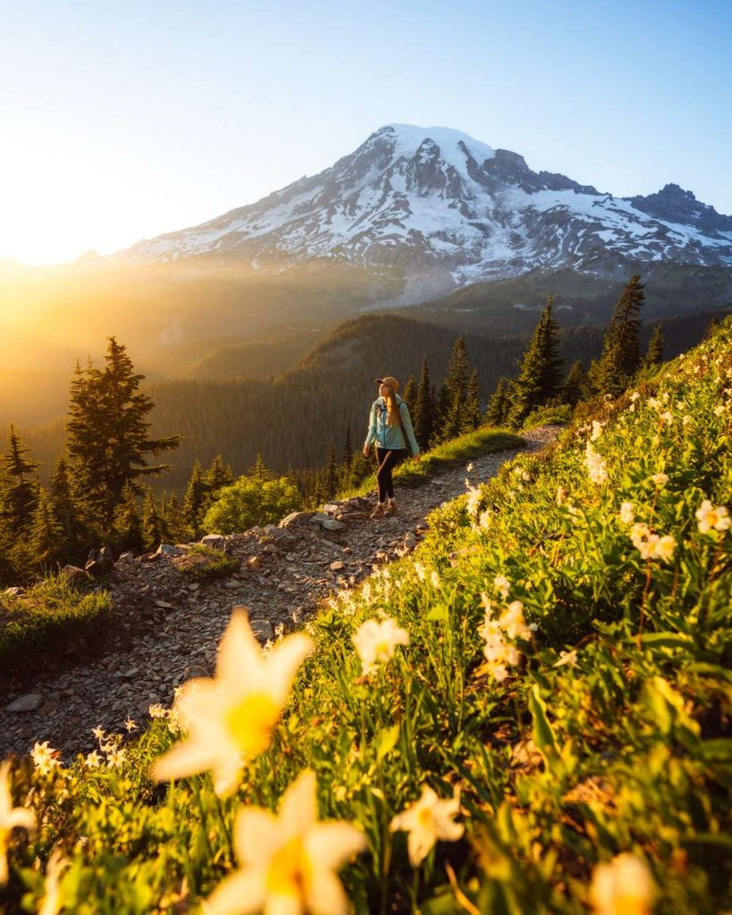 Best Mount Rainier National Park Hikes Pinnacle Peak