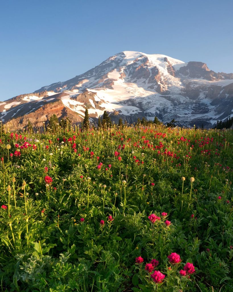 Great hikes in Mount Rainier National Park - Skyline Loop Trail