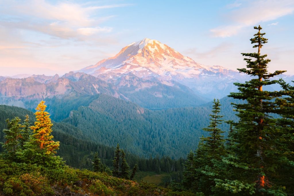 Best Mount Rainier National Park Hikes - Tolmie Peak