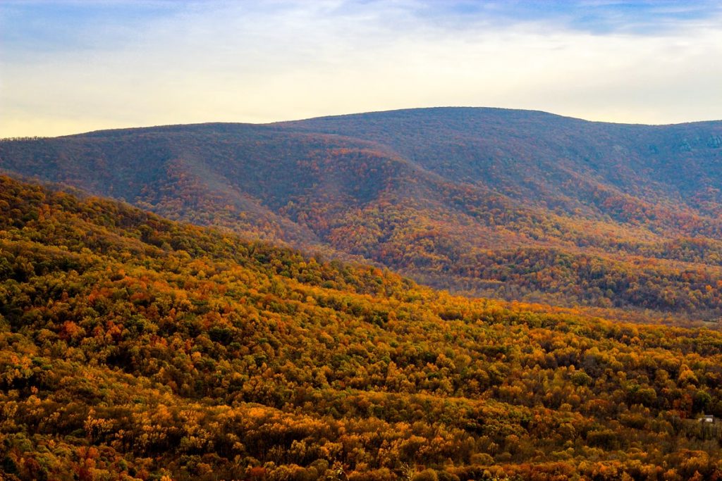 Best Things To Do Shenandoah National Park - Fall Foliage