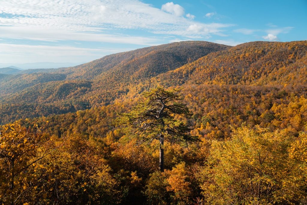 Best Things To Do Shenandoah National Park - Leaf peeping