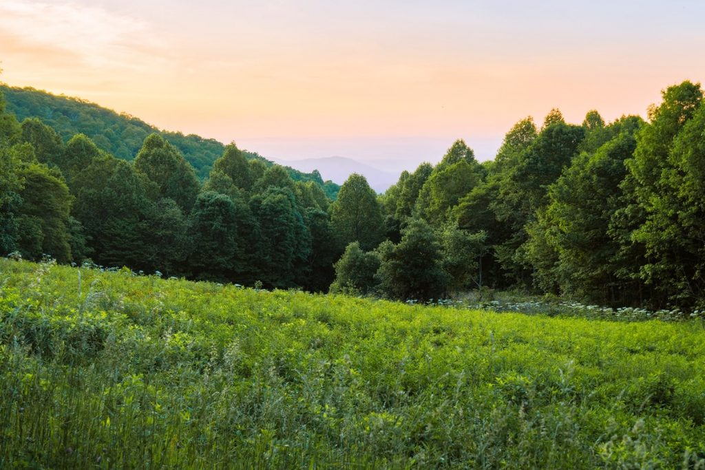 Best Things To Do Shenandoah National Park - Hiking