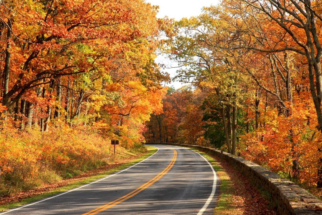 Best Things To Do Shenandoah National Park - Skyline Drive