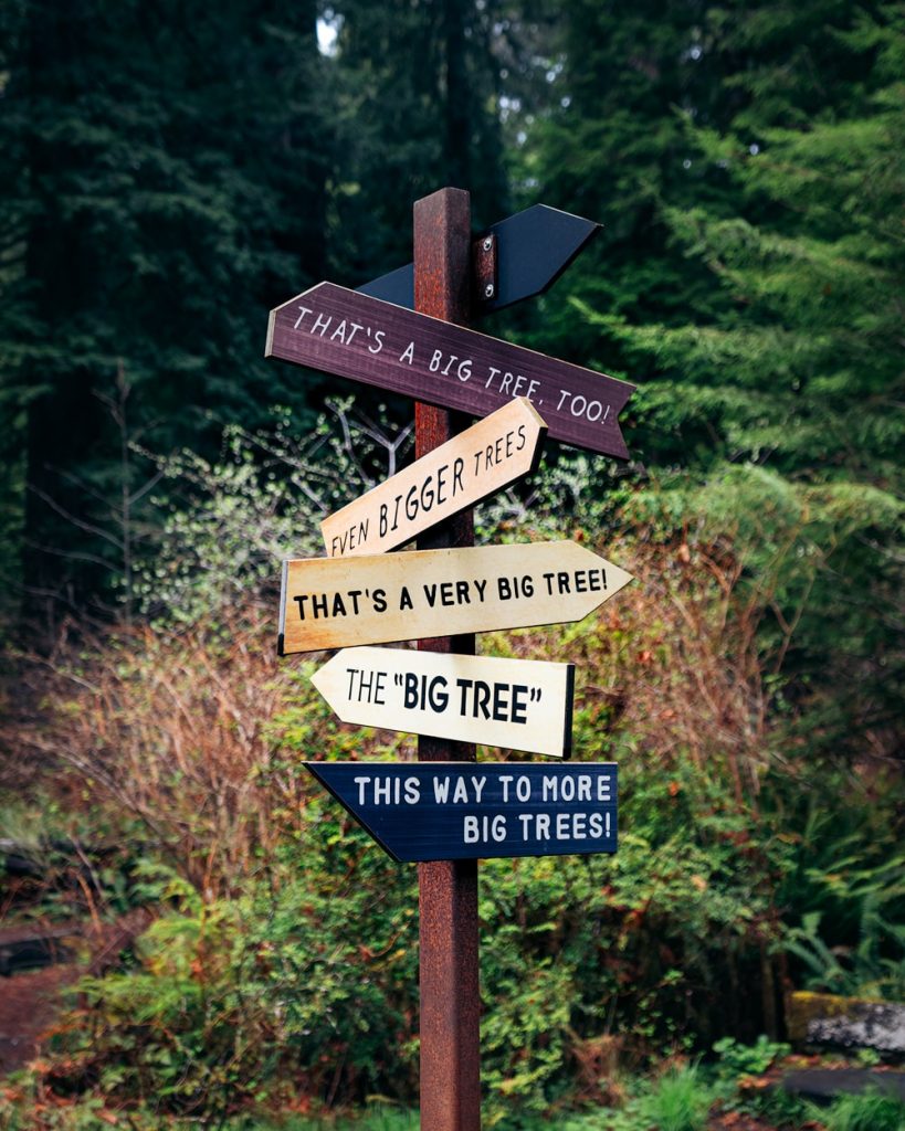 Best Hikes Redwood National Park - Prairie Creek Trail Loop