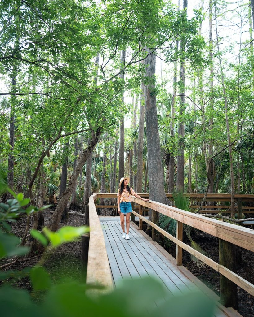 Best Things to Do in Punta Gorda Florida - Babcock Ranch Eco Tour Swamp Buggy Experience