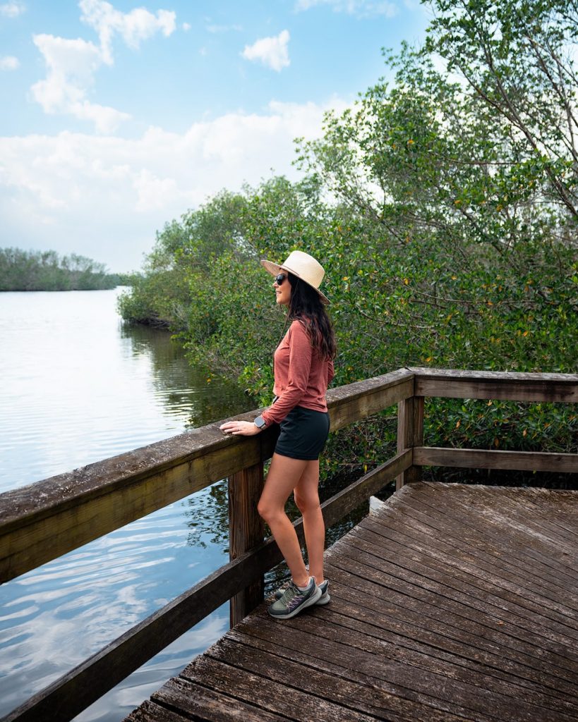 Best Things to Do in Punta Gorda Florida - Go Hiking at Charlotte Harbor Environmental Center and Alligator Creek 2