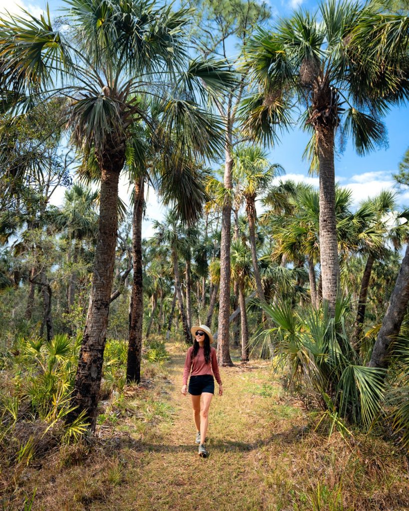 Best Things to Do in Punta Gorda Florida - Go Hiking at Charlotte Harbor Environmental Center and Alligator Creek