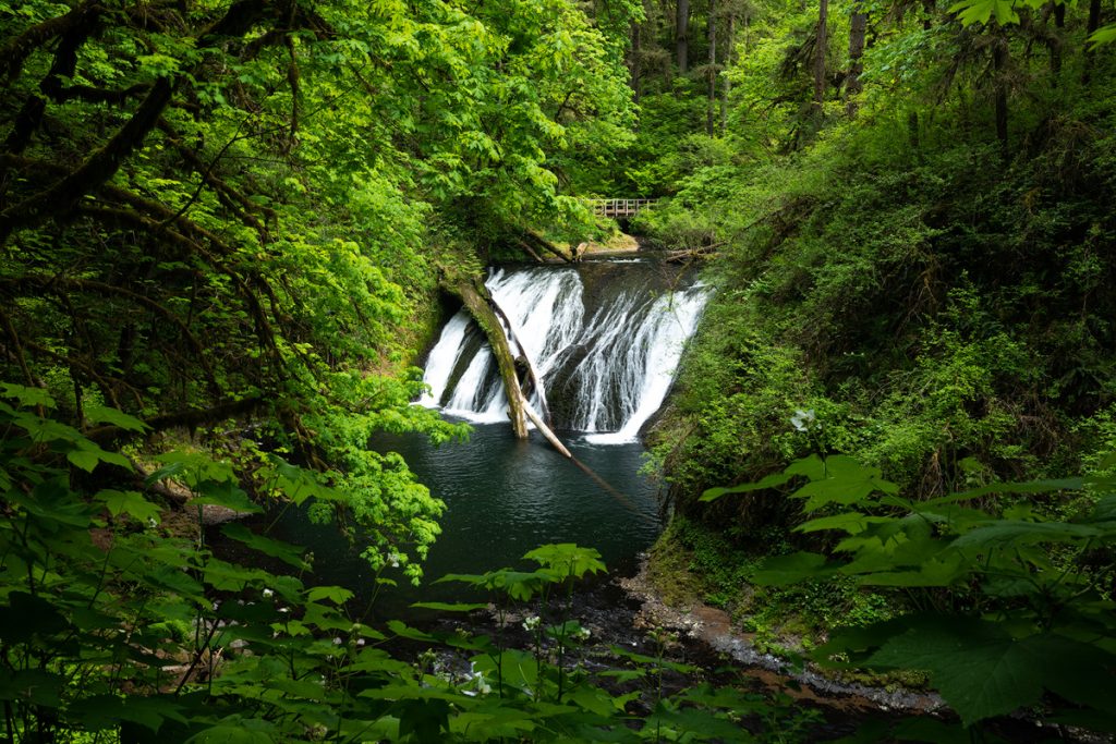 Hiking the Trail of Ten Falls - Lower North Falls