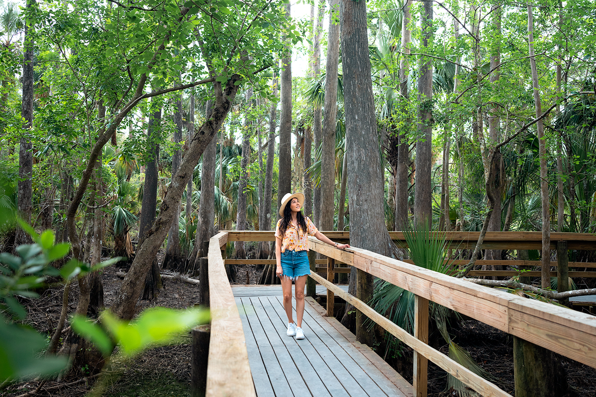 Discovering the Best Things To Do in Punta Gorda: Florida’s Hidden Gem