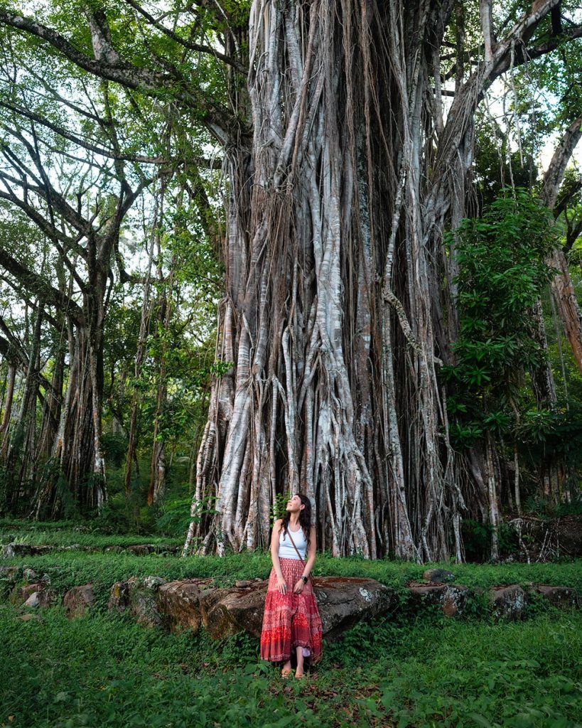 A First-Timer’s Guide to Traveling to the Marquesas Islands, French Polynesia - Nuka Hiva Historical Site