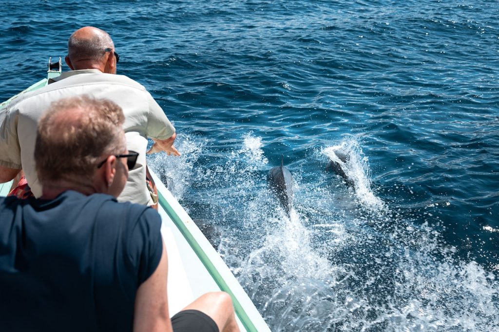 Best Things To Do on Hiva Oa French Polynesia - Tahuata Island Day Trip Dolphin Spotting
