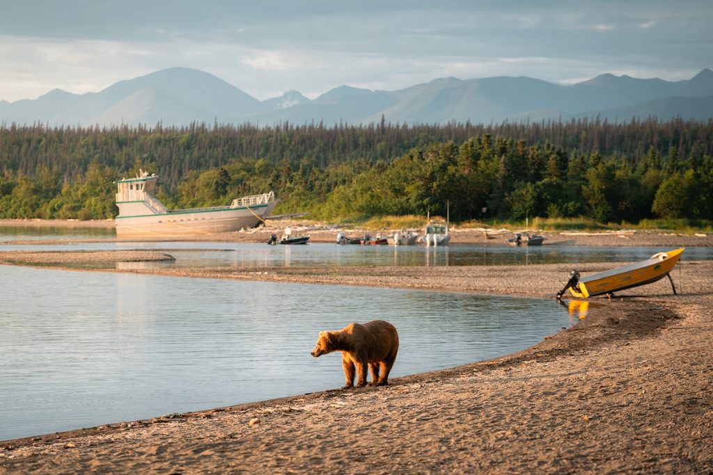 How To See Bears at Brooks Lodge in Katmai National Park Alaska