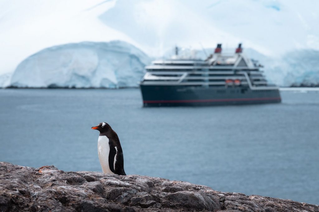 Luxury Expedition Cruise to Antarctica, South Georgia and The Falkland Islands With Seabourn - Penguin