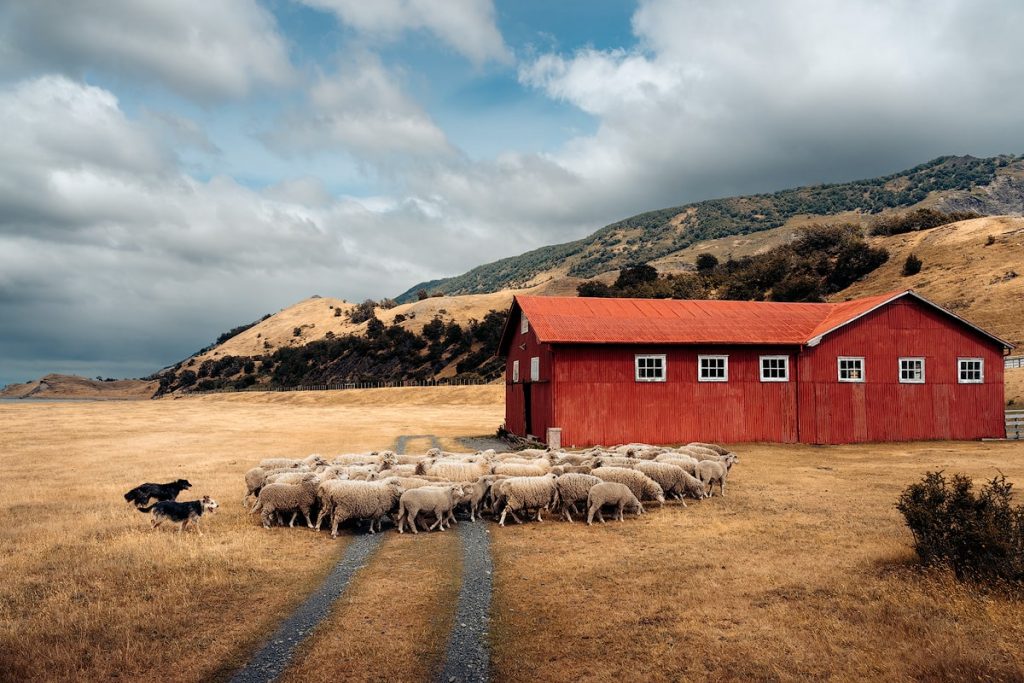 Things To Do Near Torres del Paine National Park Patagonia Chile La Peninsula Patagonia Farm