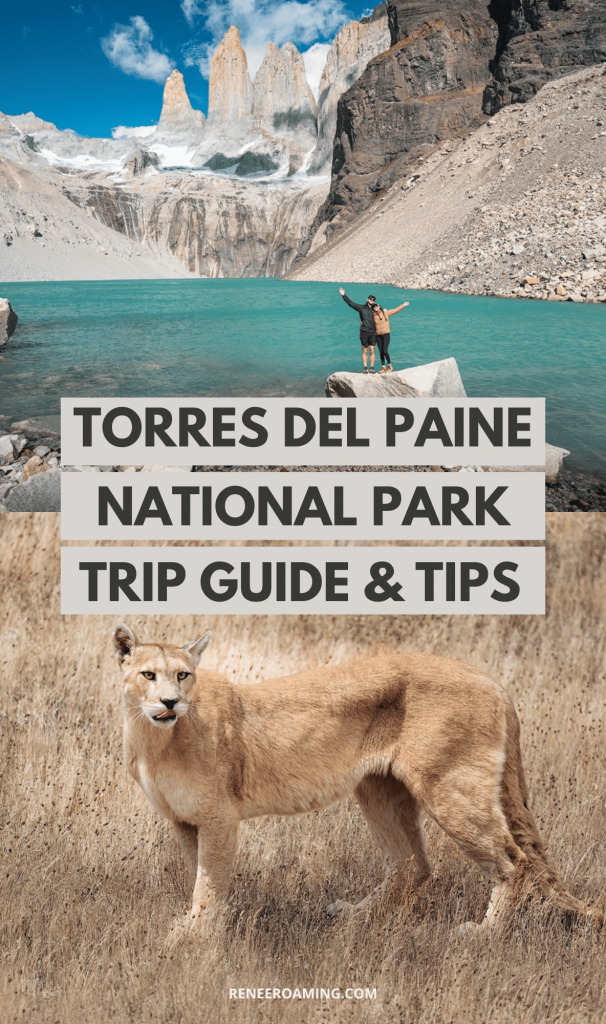 Torres del Paine National Park should be at the top of your bucket list! Click here to learn how to plan the perfect Patagonia trip!