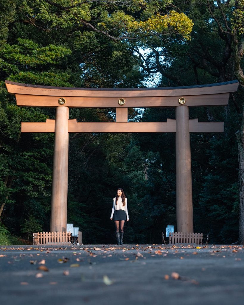 Epic 5 Day Tokyo Itinerary With Day Trip to Mount Fuji - Meiji Shrine Gates Tokyo