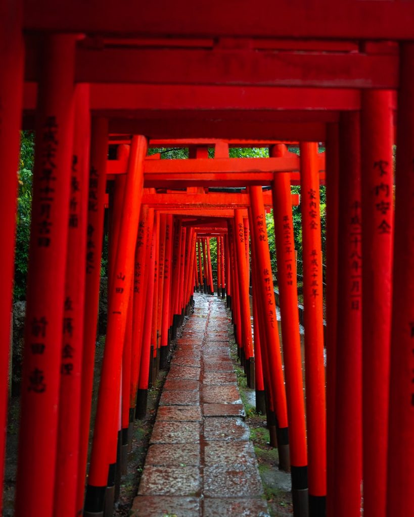 Epic 5 Day Tokyo Itinerary With Day Trip to Mount Fuji - Nezu Shrine Tokyo