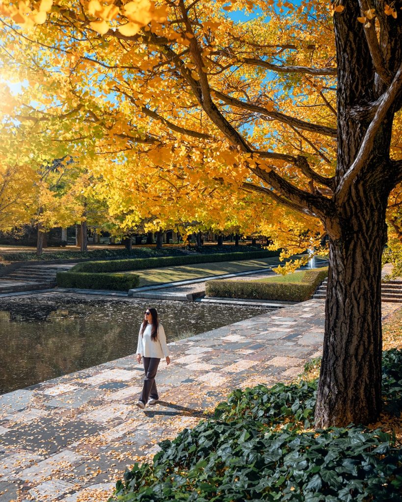 Epic 5 Day Tokyo Itinerary With Day Trip to Mount Fuji - Showa Kinen Park Tokyo in Autumn