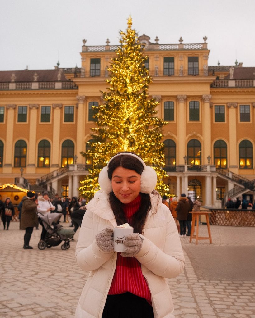 A First-Timer's Guide to Visiting Vienna Christmas Markets - Vienna Schonbrunn Palace Christmas Market Mug